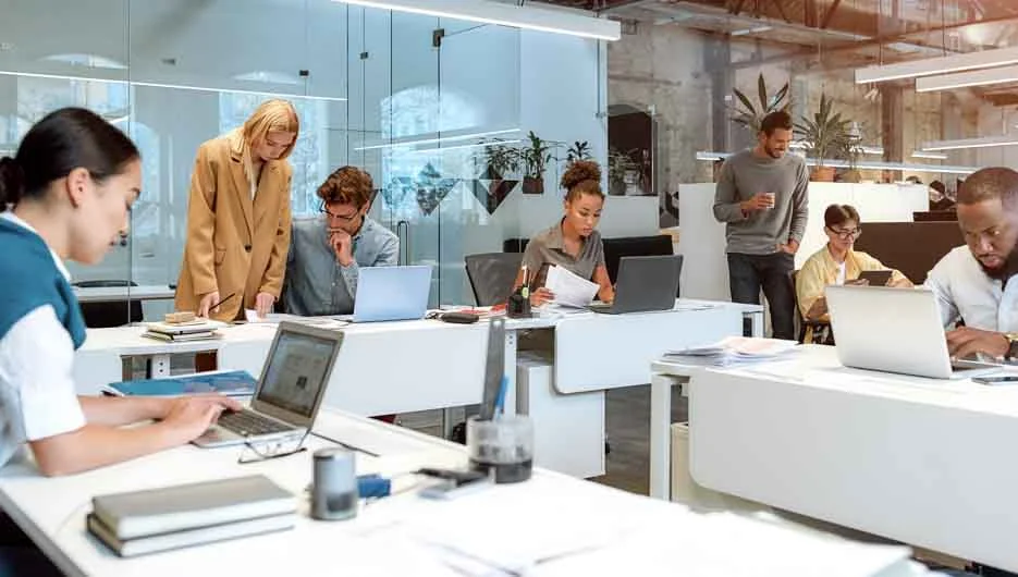 Illizeo Meilleurs cabinets de consulting Suisse